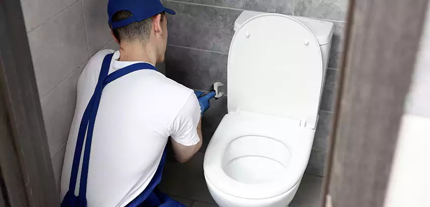 Toilet Lid Replacement in Garland